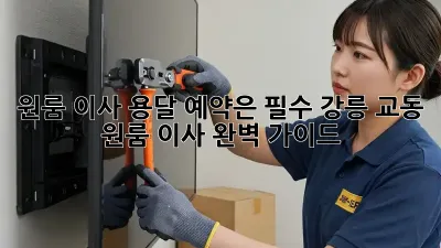 원룸 이사? 용달 예약은 필수! 강릉 교동 원룸 이사 완벽 가이드