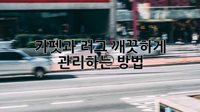 카펫과 러그, 깨끗하게 관리하는 방법